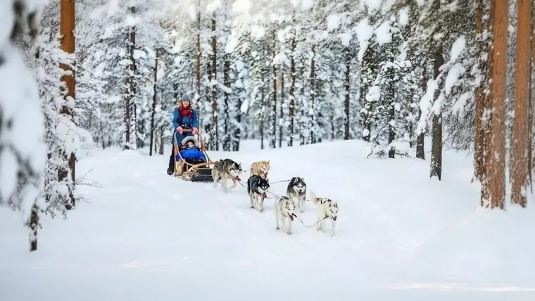 Santa Village, Snowman World & Husky Sled Ride — 3