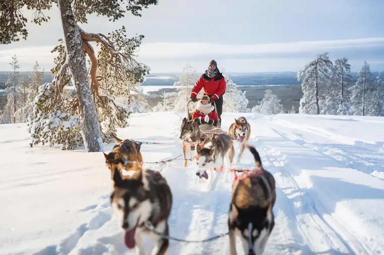 Santa Village, Snowman World & Husky Sled Ride