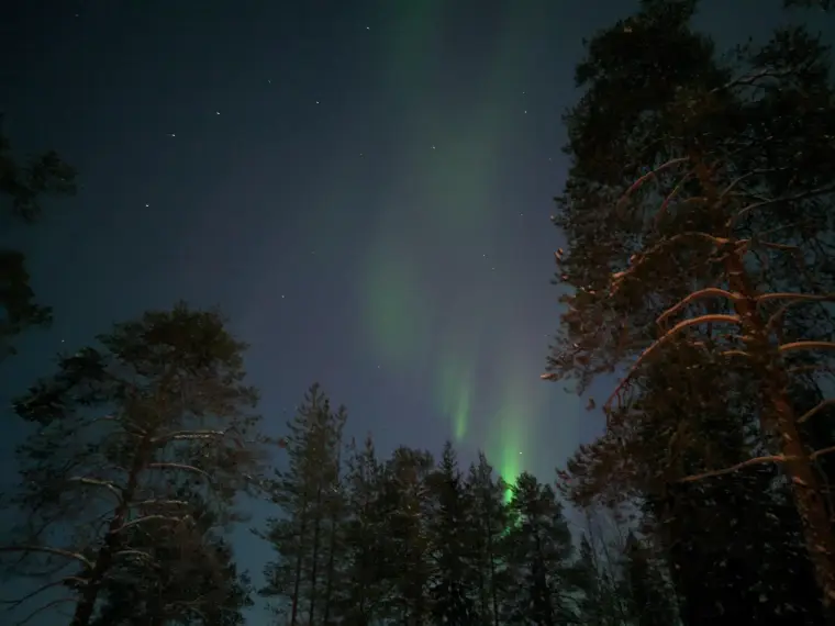 Northern Lights Magic Adventure — 6