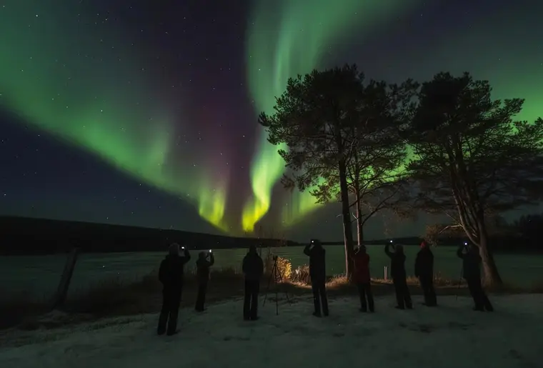 Northern Lights Magic Adventure — 8